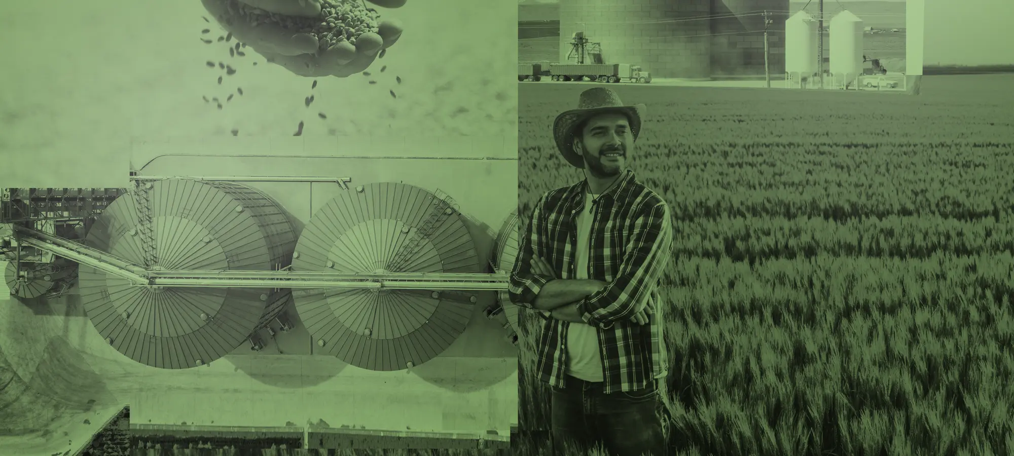 Parceria e inovação no agro